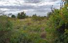 Teren intravilan 725 mp - Deschidere 27.17 m - Parohie Popesti / Viilor