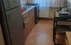 De inchiriat Apartament cu 1 camera Zona ?agului - 8