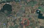 Bucovat - Teren agricol - S 1,6Ha - 2