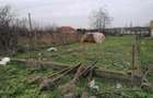 Ferma, Casa la ?ara. Poiana, Constan?a - 7