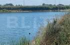 Teren intravilan 4,76 ha cu 2 balti de pescuit | Pitaru | 4 km de A1 - 3