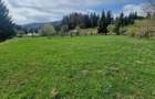 Vindem teren intravilan in Pojorata - Suceava - Bucovina - 1