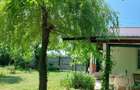 Casa 3 camere Parter Giurgiu Com Bucsani - 5