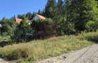 Teren intravilan 288 mp de vanzare in Busteni - 1