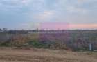 Săbăreni, teren curti-constructii 608 mp cu utilităti - 2