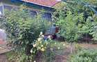 Proprietar Casa 4 cam.de vanzare cu teren gradina vita-de-vie ?i garaj aproape de Bucuresti - 2