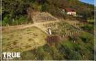 Terenuri intravilane de vanzare in Corunca, zona Valea Iubirii 1.446m2