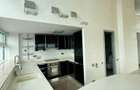 DUPLEX PANORAMIC | LUX | ARCUL DE TRIUMF | - 14