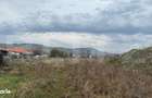 Teren Pentru Constructii 9292 mp- zona Cuzdrioara - 2