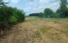6 parcele intravilane de 485 mp in Mihai Voda, Bolintin Deal, 650 metri de Primaria Bolintin-Deal - 6