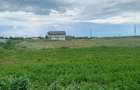 Teren intravilan -2 loturi 422mp si 417mp comuna Curtisoara jud Olt la 8 km de Slatina - 2