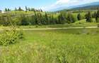 Teren De Vanzare pasul Tihuta/Bistrita Nasaud - 5