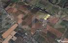 TEREN EXTRAVILAN AGRICOL - 1