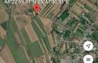Teren Intravilan Giurgiu, comuna Gradinari, sat Zorile - 2