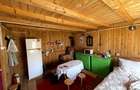 Teren cu cabana in Valsanesti, Arges, 3.730 mp, livada de meri, priveliste spre padure - 2