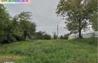 Teren de vanzare - Baicoi(Central),toate utilitatile