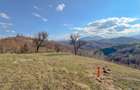 Refugiu de poveste în inima naturii | 12.000 mp în Holbav | Proiect început - 9