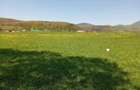 Teren extravilan 1.000 mp. Vulcan, Brasov - Ideal pentru gradina sau relaxare - 4