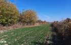 Vand proprietate in sat Brate?ti, com. ?irna, jud. Prahova - 7