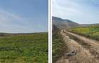 Teren extravilan sat Mineri, ID: R2376975 - 5