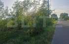 Teren extravilan de vanzare, 5000 mp, zona Viisoara - 4