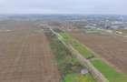 Vanzare teren Magurele Ilfov loturi 500 mp - 2