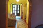 Vand casa mare in Ionesti Halmagiu - 3