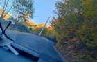 Vanzare teren intravilan - Valea ierii 15.000mp - 9