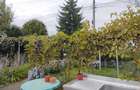Casă individuală cu 3 camere cu Teren 3886 Mp în Gârleni - 11