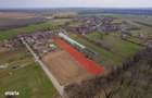 Nuci - Balta Neagra, Lot 3900 Mp, La Padure! - 8