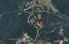 PREDEAL - STRADA PAJISTEI -  TEREN INTRAVILAN 830 MP DESCHIDERE 24 ML - 4