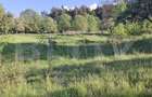 Teren extravilan de vanzare, 10.000 mp, in Valea Zizinului - 2