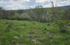 Teren cu vedere panoramica de vanzare in Chinteni - 3