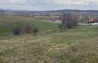 Teren intravilan de vanzare Bihor - 4793 mp2 - 3