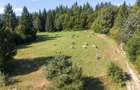 Lacuri Vulcan Brasov - Premium in turism-teren 6800mp - 9