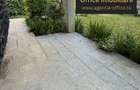 Zona Victor Babes casa D+P+1 cu 457 mp teren
