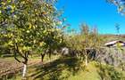 Casă cu 4 camere în Purcăreni (Micești) - 1