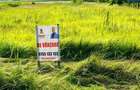 Teren intravilan in suprafata de 7.580 mp | DN65 Albota | Langa OMV - 3