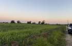 Ideal Investitie - Str Ctin Brancoveanu, zona noua, intravilan in noul PUG - 8