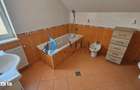 Casa Unirii, 254 mp, garaj, teren 500 mp - 13