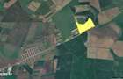 48 ha teren la iesire din Horia, zona de balastiere - 4