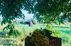 casa de vacanta 60km de Timisoara - 5
