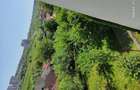 Inchiriez apartament cu o camera in cartierul Manastur str.Balea - 4
