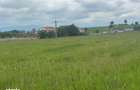 Vand teren extravilan 8.600 mp in Selimbar / jud. Sibiu - 3