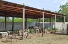 Casă cu Teren 4000 Mp în Redea - 4