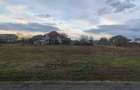 Teren Dumbravita zona Lac - Proprietar - 5
