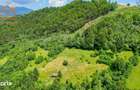 Investitie Smart in Moieciu, 3.1 ha, Panorama 360 Bucegi - Piatra Crai - 4