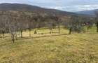 Teren intravilan si extravilan Luncoiu de Jos - 12