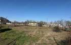 Casă cu 3 camere cu Teren 1400 Mp în Mânău