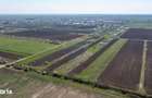 Vanzare teren intravilan 500 mp Sabareni / Strada Orhideelor - 16